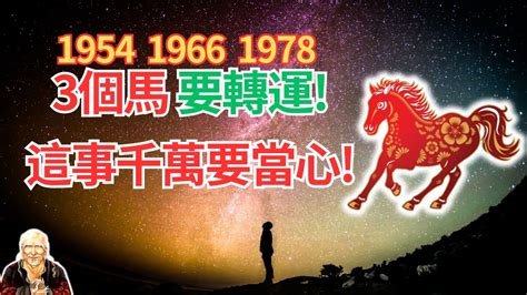 1978生肖馬|1978年生肖馬的一生